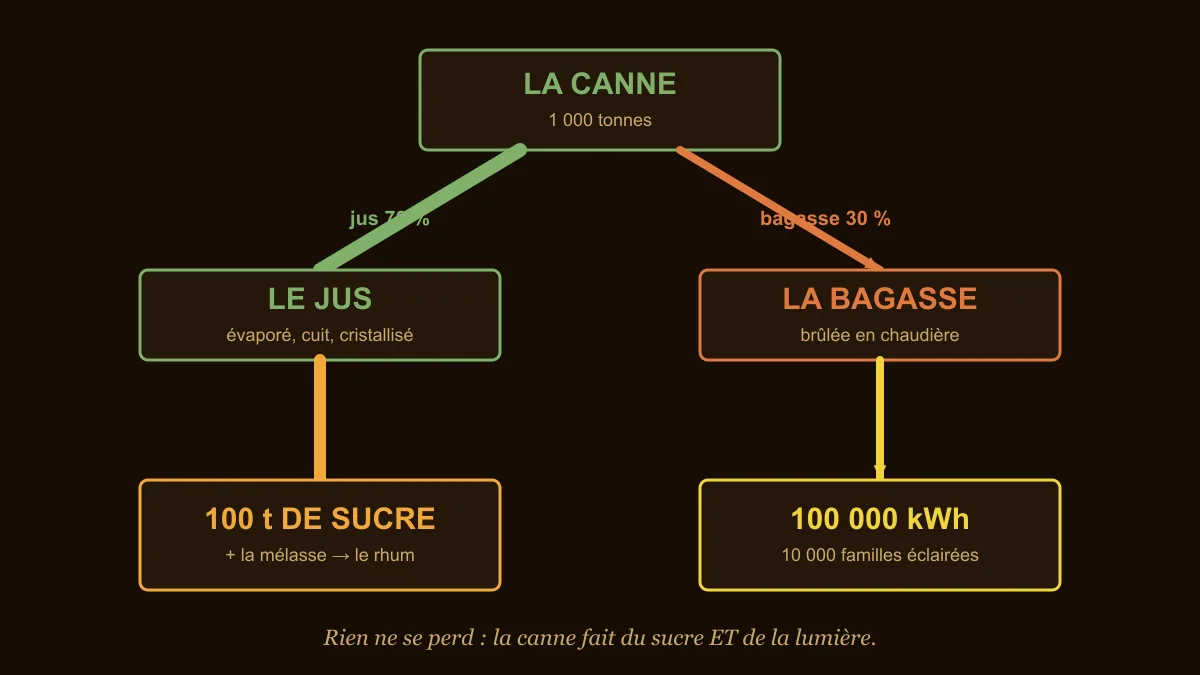 L'usine à sucre